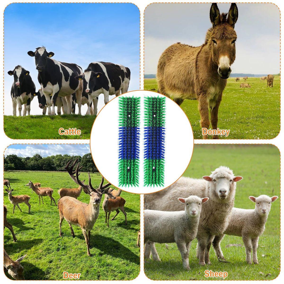 Sayutie Livestock Scratch Brush packaging showing 2-pack set