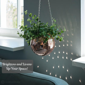 SCANDINORDICA disco ball planter acrylic desk stand for tabletop decor