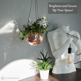 SCANDINORDICA disco ball planter acrylic stand enables desk display and easy positioning