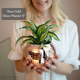 SCANDINORDICA disco ball planter chain keeps plant securely suspended, stylish