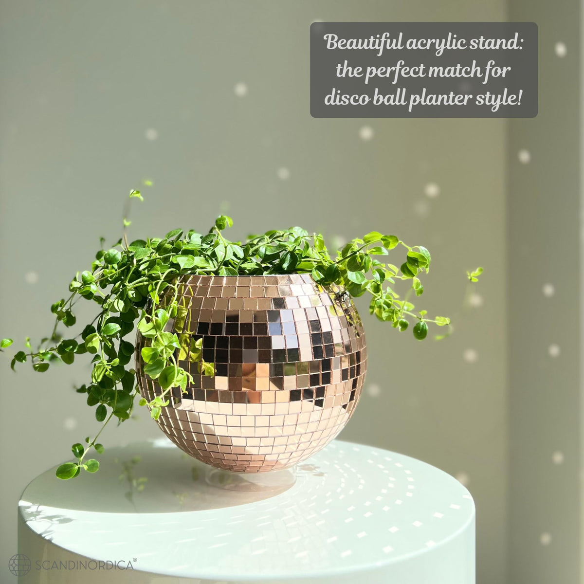 SCANDINORDICA disco ball planter gift-ready packaging appeals to plant lovers