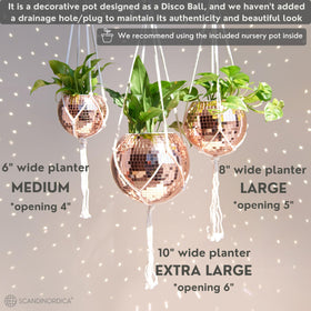 SCANDINORDICA disco ball planter self watering insert supports plant care between waterings