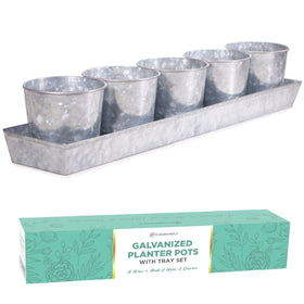 SCANDINORDICA galvanized metal herb planter with five pots for compact indoor herb growing