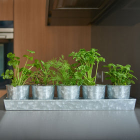 SCANDINORDICA gift-ready packaging suitable for plant lovers