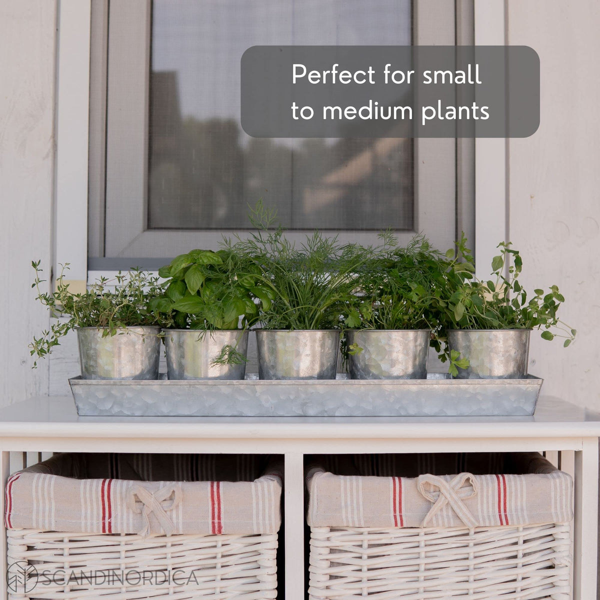 SCANDINORDICA five-pot herb garden tray is easy to move as a unit
