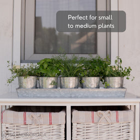 SCANDINORDICA five-pot herb garden tray is easy to move as a unit