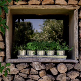 SCANDINORDICA window sill display with five pots neatly arranged