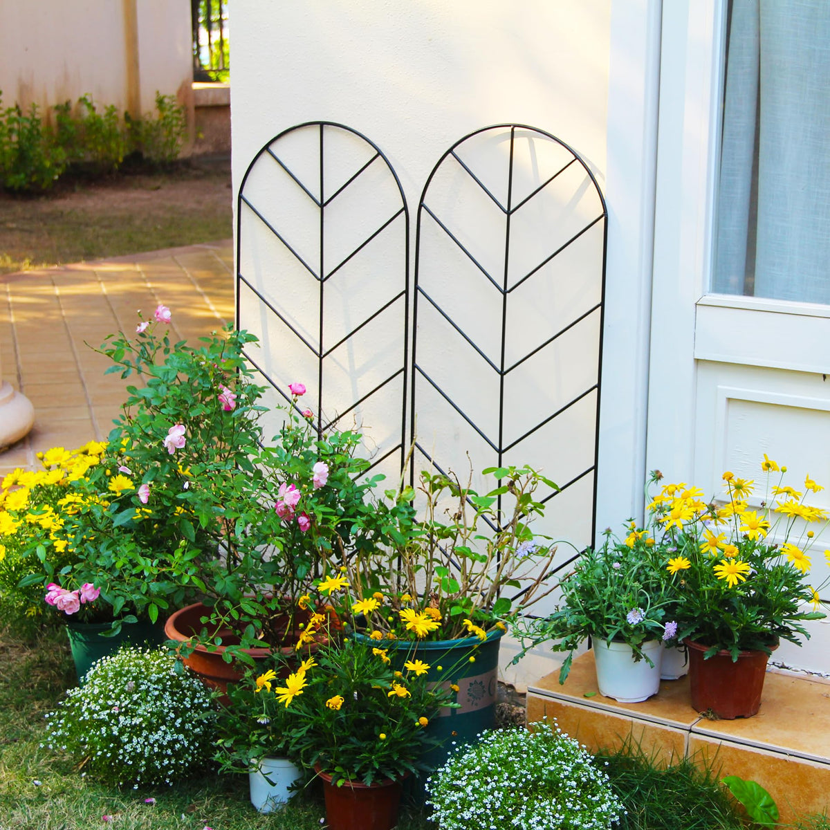 SCENDOR trellis supports climbing roses and vegetables effectively
