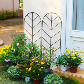 SCENDOR trellis supports climbing roses and vegetables effectively