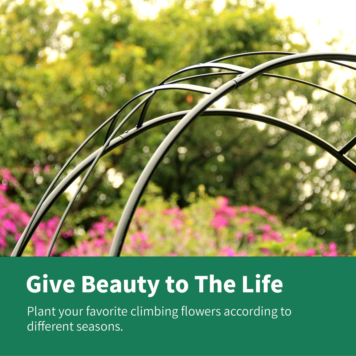 SCENDOR garden arbor supports climbing vines and roses on its trellis.
