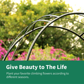 SCENDOR garden arbor supports climbing vines and roses on its trellis.
