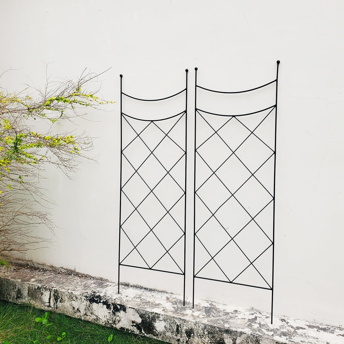 Lightweight SCENDOR GARDEN trellis for flexible garden layouts