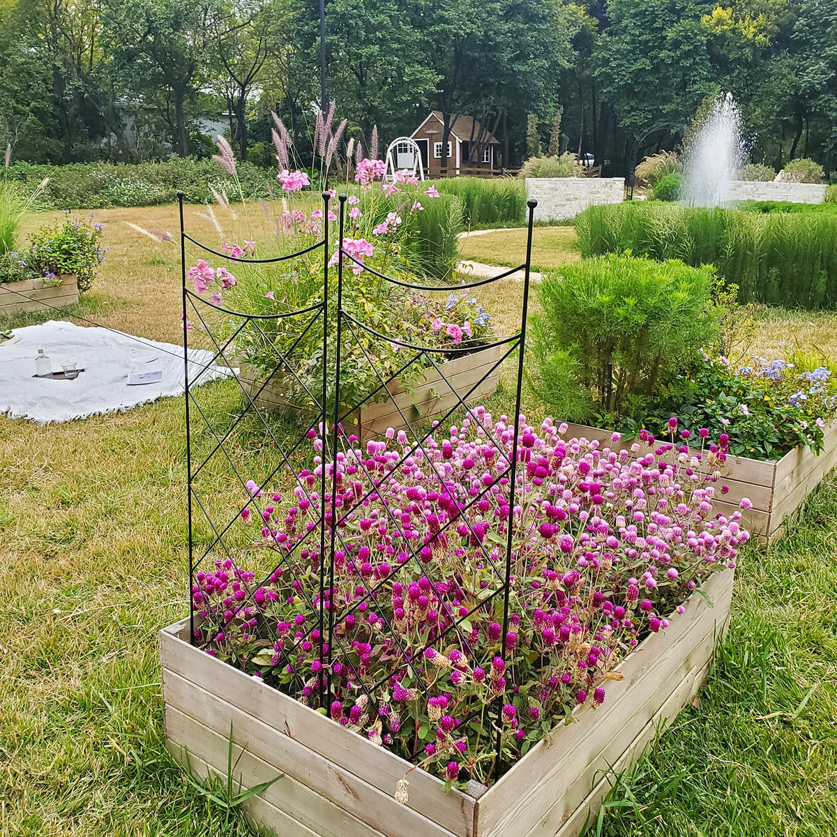 Ideal SCENDOR GARDEN trellis for flowering vines and climbers