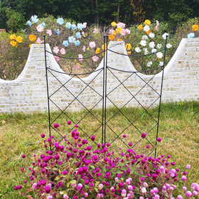 SCENDOR GARDEN two-pack metal trellises for roses and vines