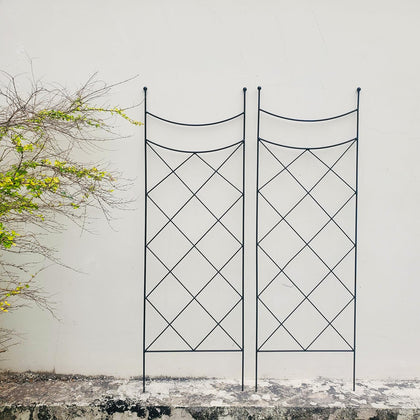 SCENDOR GARDEN 45.3in H x 15in W trellis supports climbing plants in the garden