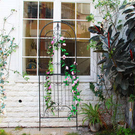 SCENDOR Garden Trellis decorative screen enhances outdoor aesthetics.