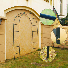 SCENDOR arch is lightweight and portable for easy relocation.