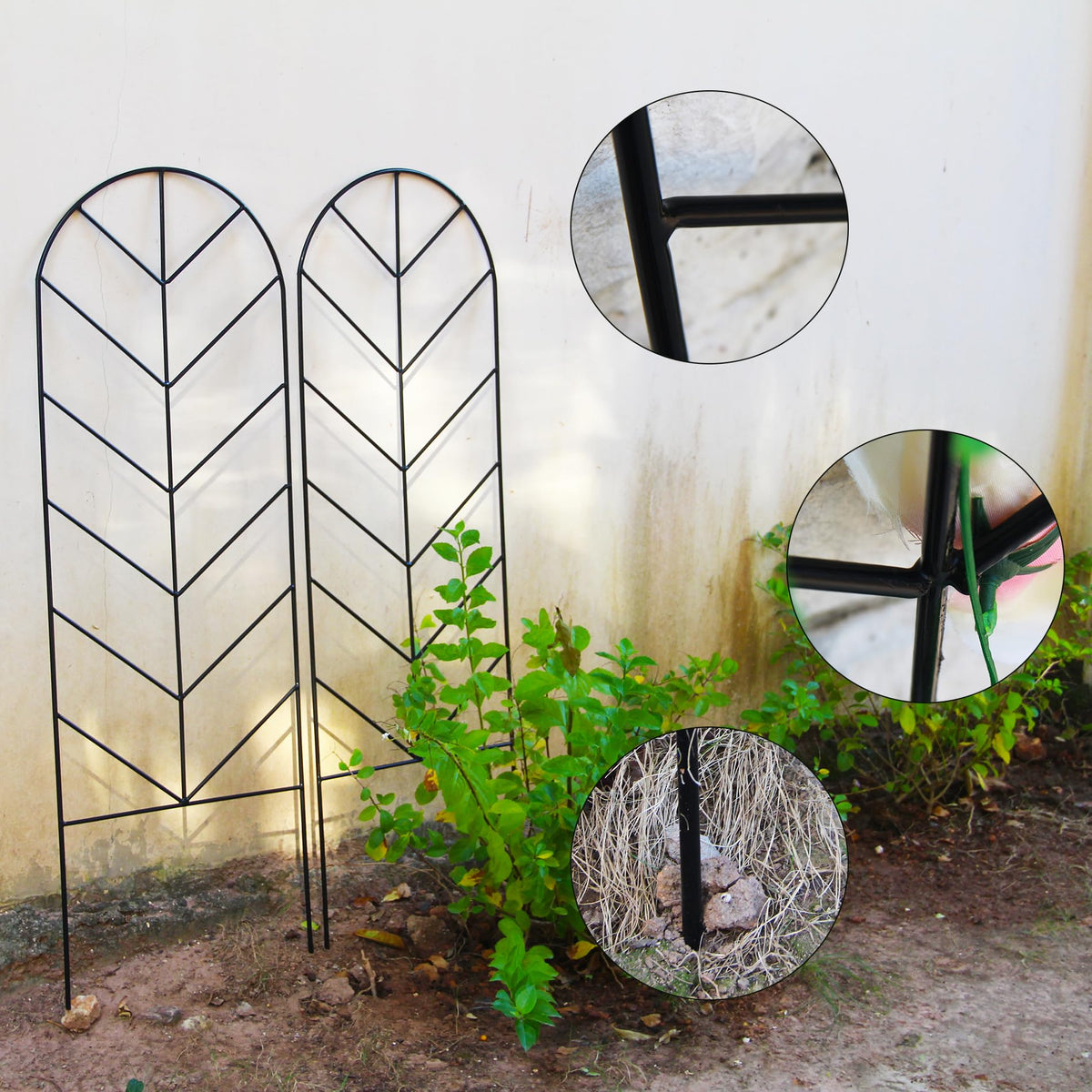 SCENDOR multi-purpose trellis divider for gardens and beds