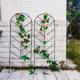SCENDOR outdoor trellis for privacy and vertical planting display