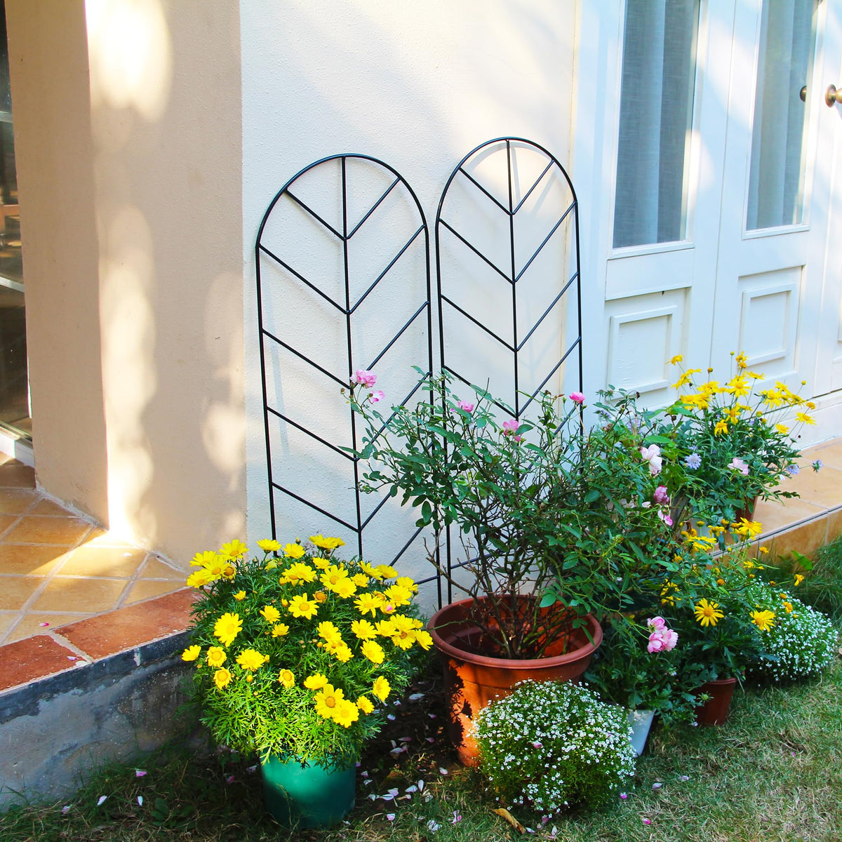 SCENDOR paired trellises used with plants on ground or against wall