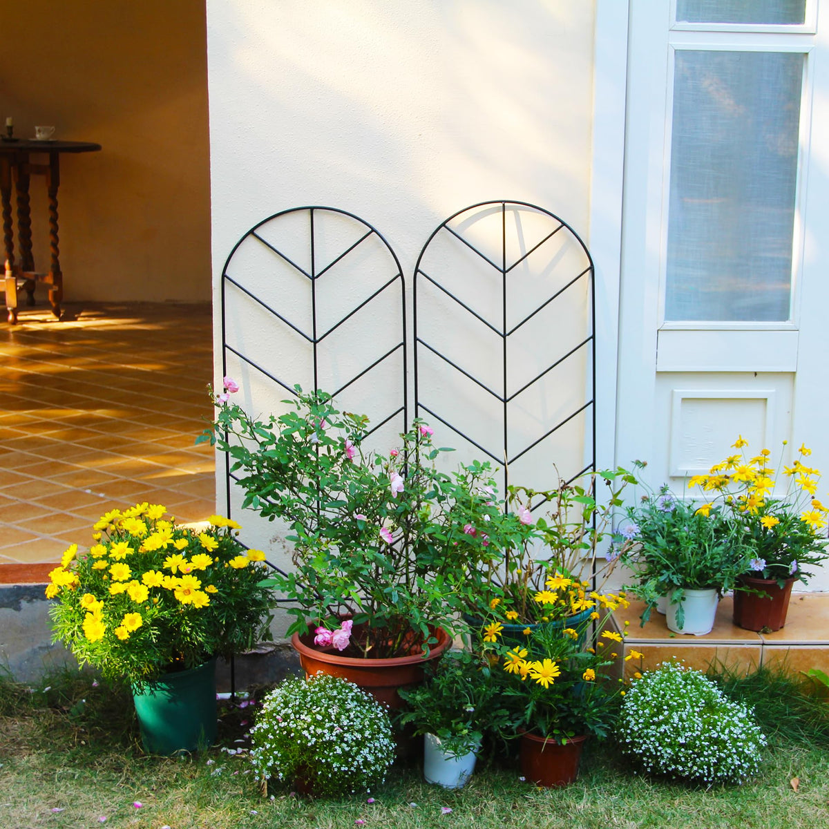 SCENDOR sturdy rustproof garden trellis withstands wind and weather