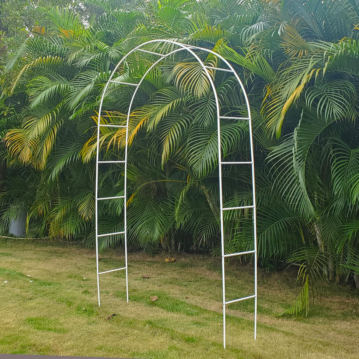 SCENDOR White Iron Pergola Arch measures 7.9 ft by 4.6 ft for flexible placement.