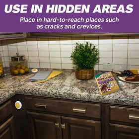 SCFKAOF roach repellent in kitchen corner offers discreet placement