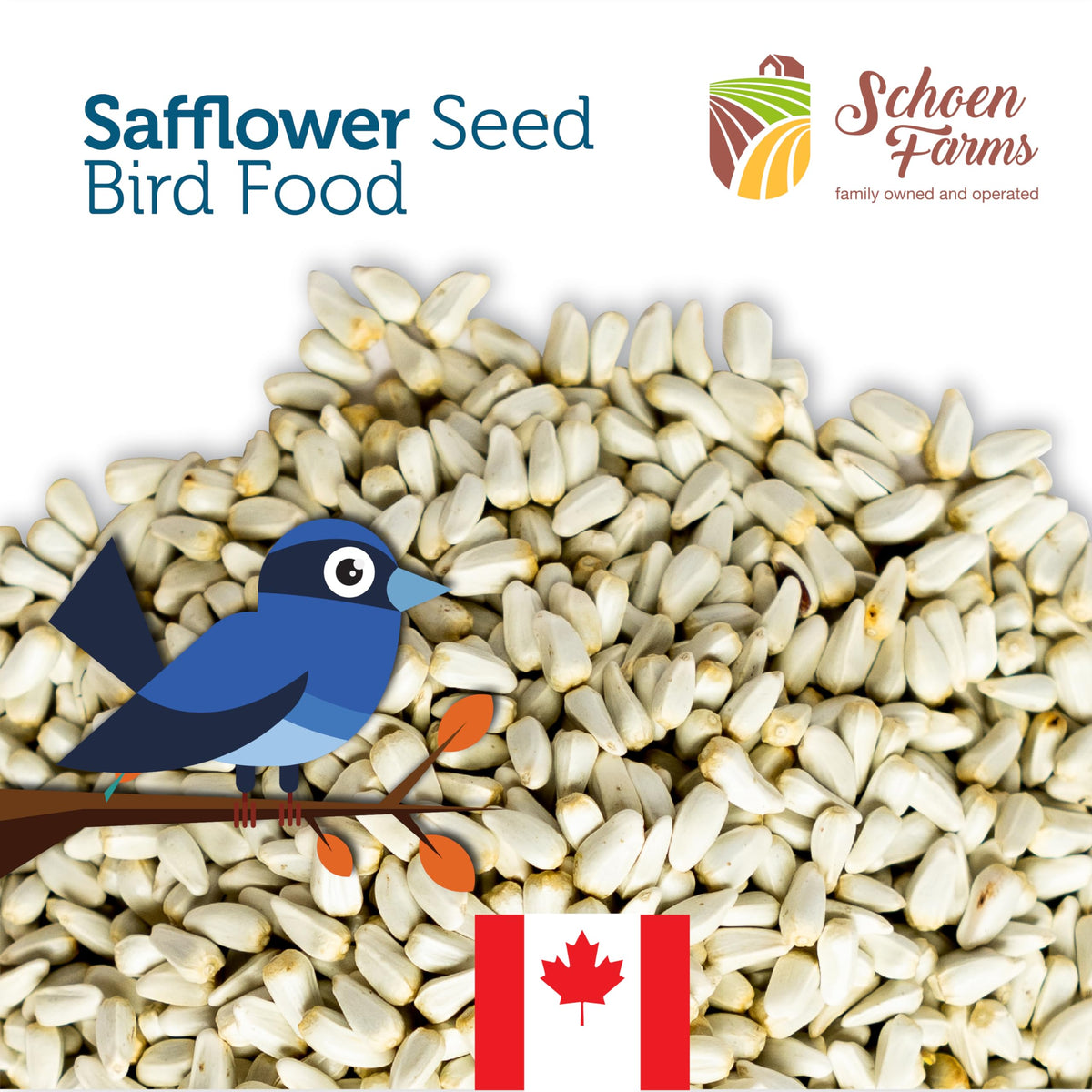 Schoen Farms Bright White Safflower Seeds attract doves with reliable energy and mild flavor.