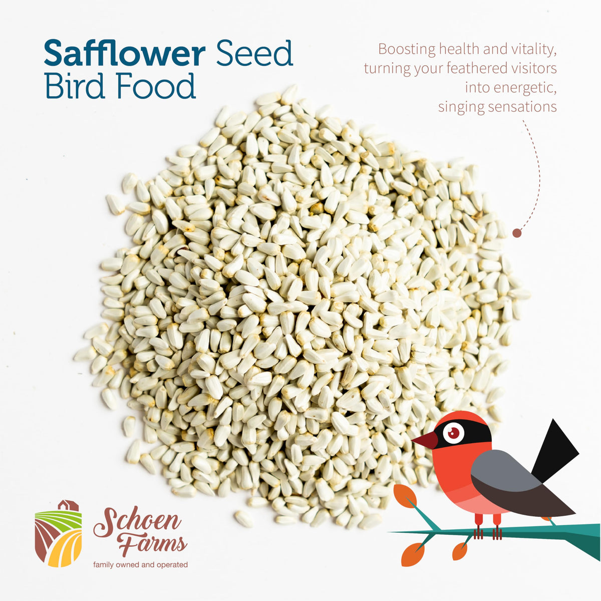 Schoen Farms Bright White Safflower Seeds entice finches with crisp, high-nutrition kernels.