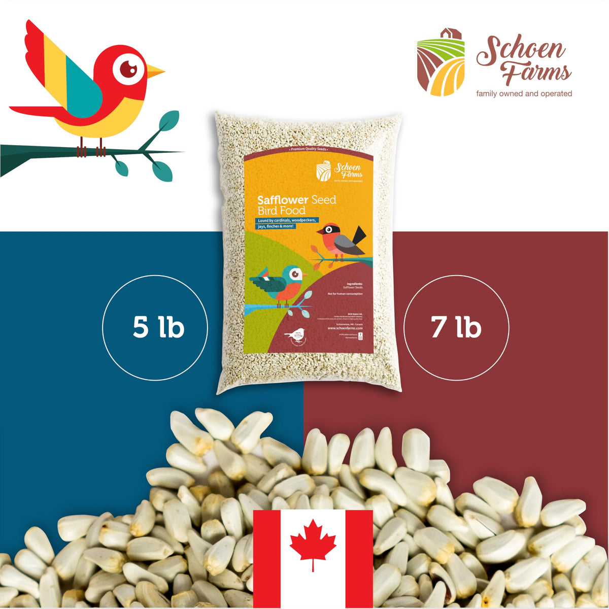 Schoen Farms Bright White Safflower Seeds perform well in open feeders for versatile backyard feeding.