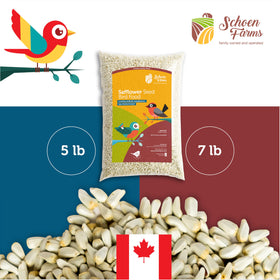 Schoen Farms Bright White Safflower Seeds perform well in open feeders for versatile backyard feeding.