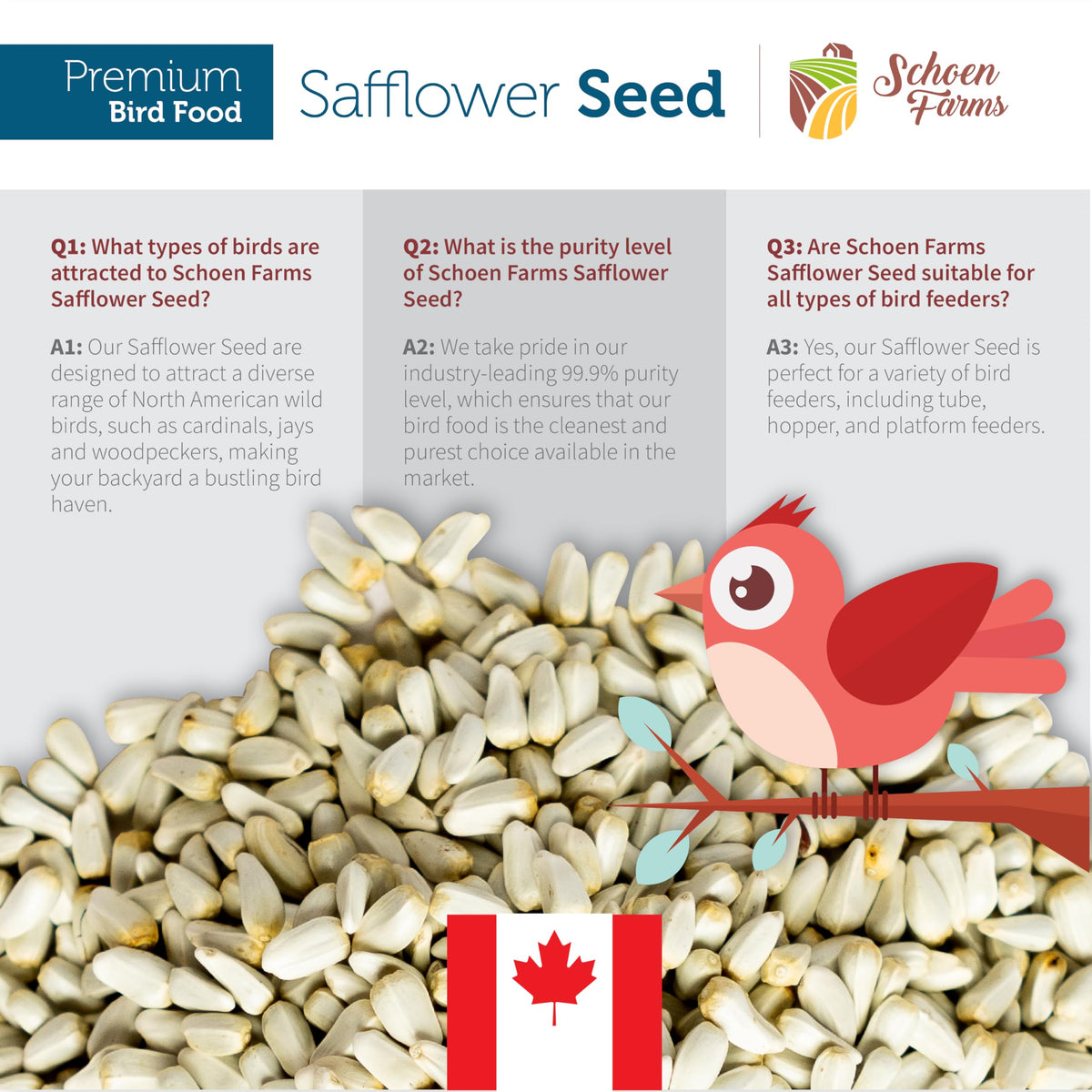Schoen Farms Bright White Safflower Seeds deter squirrels while keeping seeds available for birds.