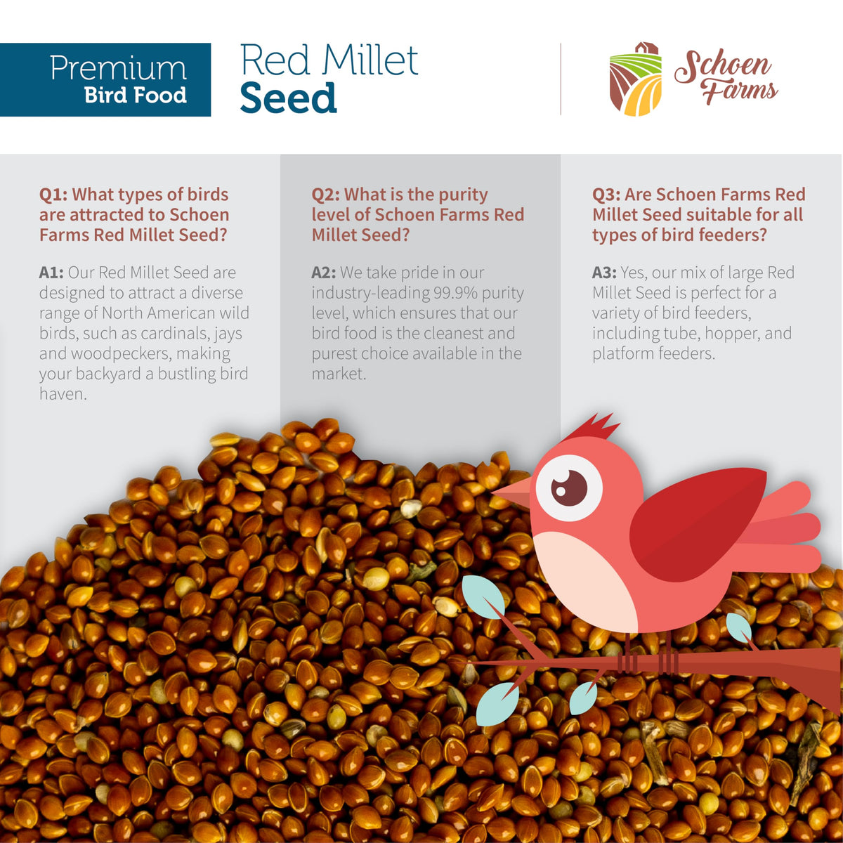 Red Millet at ground feeding area inviting small birds.