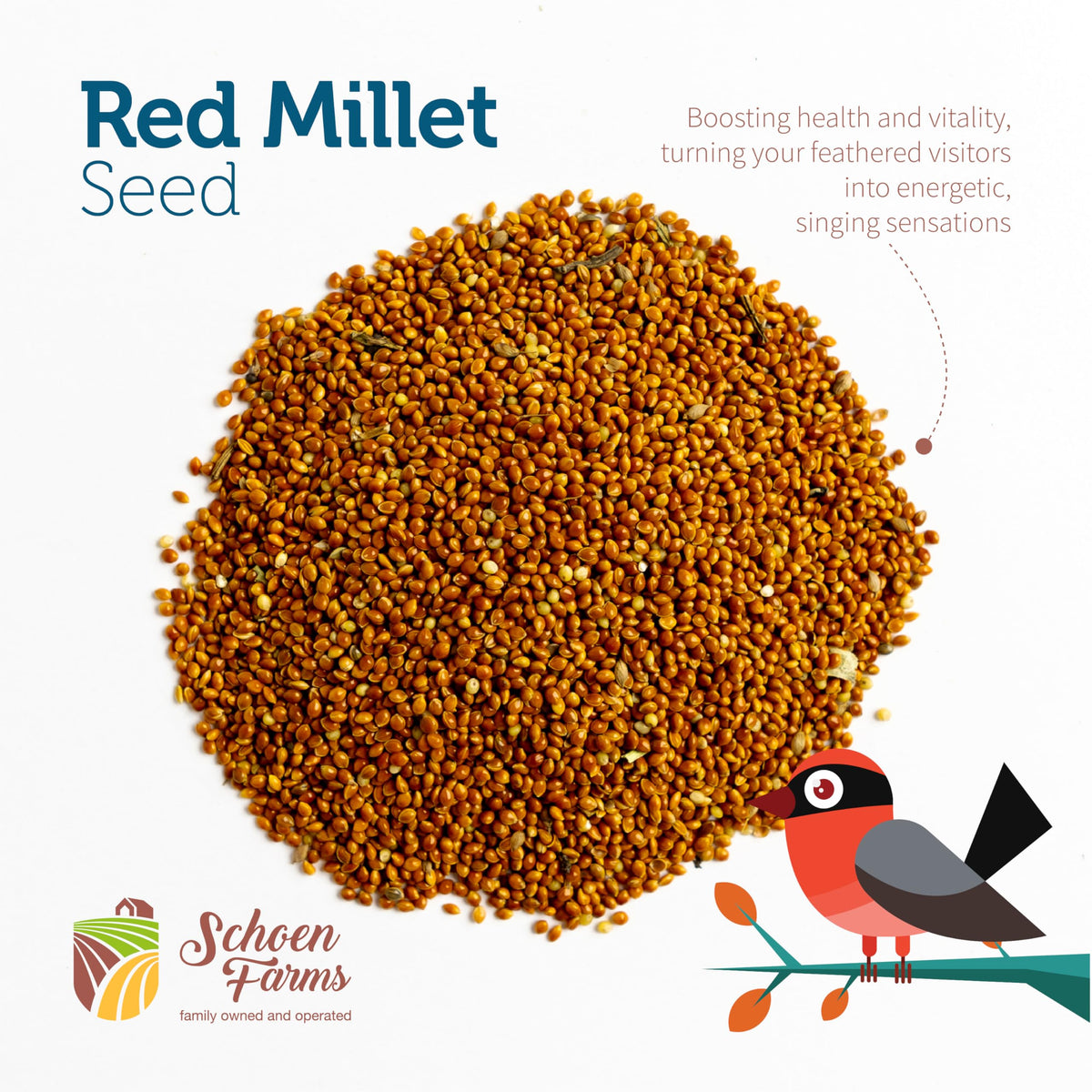 Pour Schoen Farms Red Millet into a feeder for quick use.