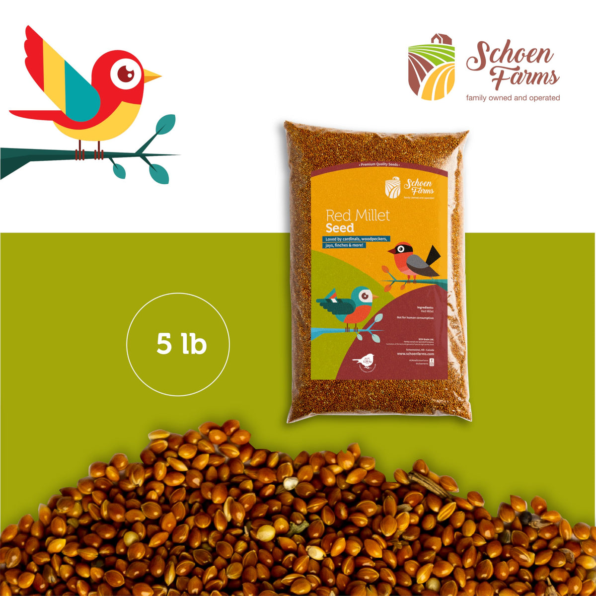 Red Millet shown with other seeds for versatile blends.