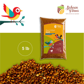 Red Millet shown with other seeds for versatile blends.