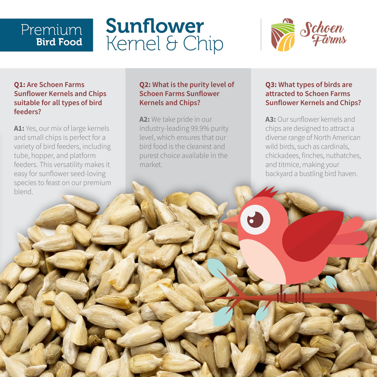 Schoen Farms colorfully perched birds enjoy the seeds, attracting finches and jays.