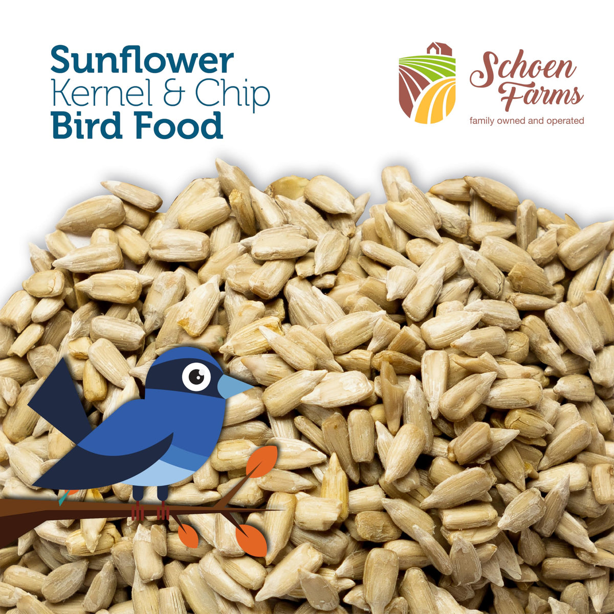 Schoen Farms hulled kernels close-up highlight premium texture and shell-free feeding.