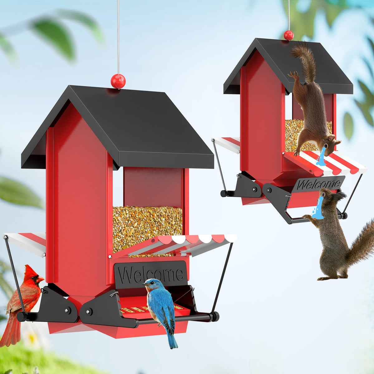 ScinDa squirrel-proof bird feeder outdoors hanging attracts cardinals and finches.