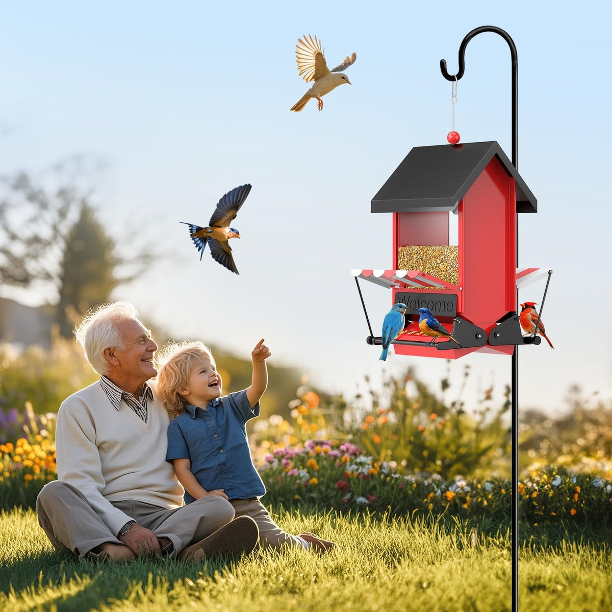 ScinDa transparent acrylic panels invite cardinals, finches, and bluebirds.
