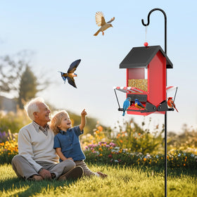ScinDa transparent acrylic panels invite cardinals, finches, and bluebirds.