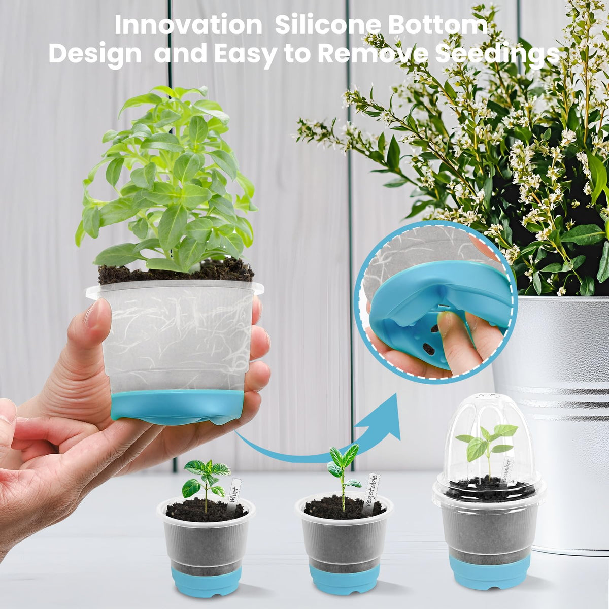 Sckee nursery pots with drainage holes promoting root respiration.