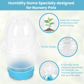 Sckee silicone-bottom pots for easy transplanting and root-safe removal.