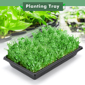 Sckee indoor gardening setup tray ideal for seed starting