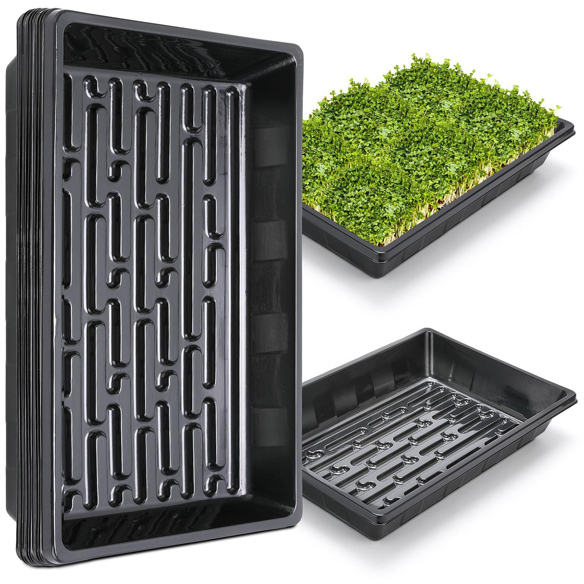 Sckee plant growing tray no holes supports controlled moisture for seeds