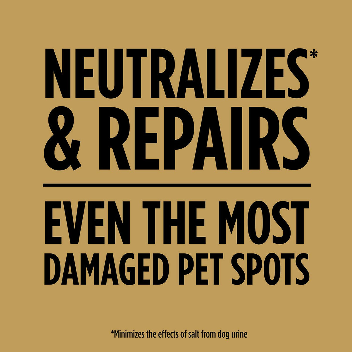 Scotts EZ Seed Dog Spot Repair mulch expands around seed for protection.