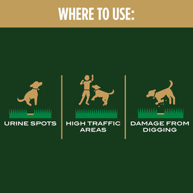 Scotts EZ Seed Dog Spot Repair tackifier helps keep seeds in place during watering.