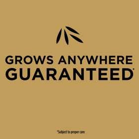 Product designed for sun or shade lawns, ideal for spring or fall planting.