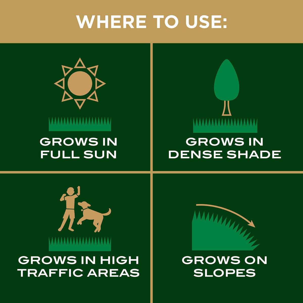 Soil preparation and water saturation steps maximize seed-to-soil contact.