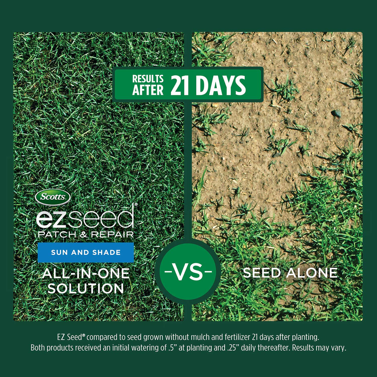 Seedling germination shown under sun and shade demonstrating versatile lawn growth.